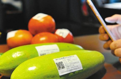 電碼防偽標(biāo)簽是如何制作的，電碼防偽技術(shù)制作流程有哪些？